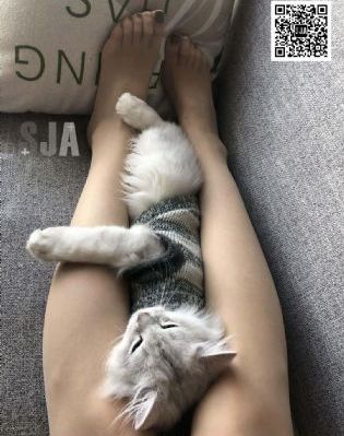 亚洲爱视频_国产剧免费电视剧